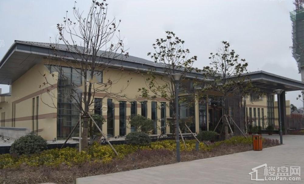 天福兰庭湾最新动态，自然美景的探索之旅，寻找内心的平和宁静