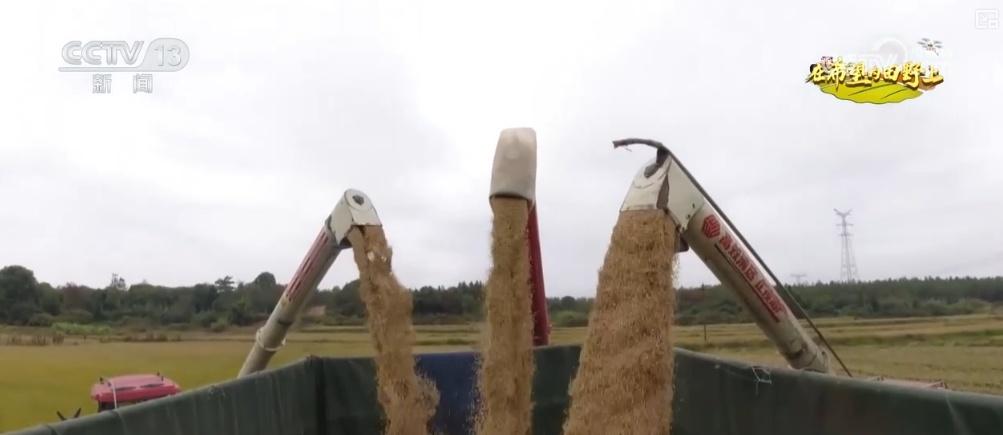 🌟农业新时代利器，重磅推荐2024最新收割机🚜