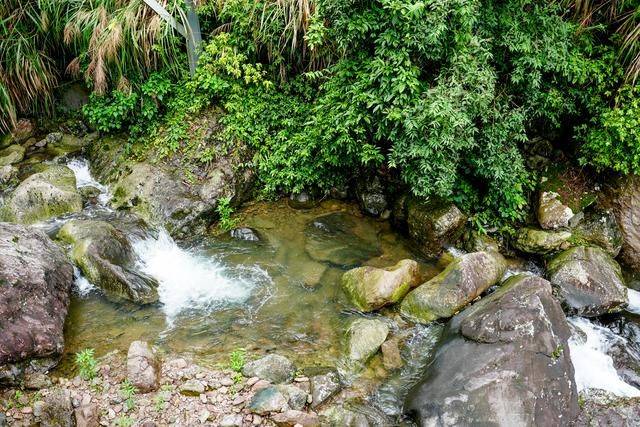 草榴社区最新网站，探索自然美景，寻找内心平和之旅