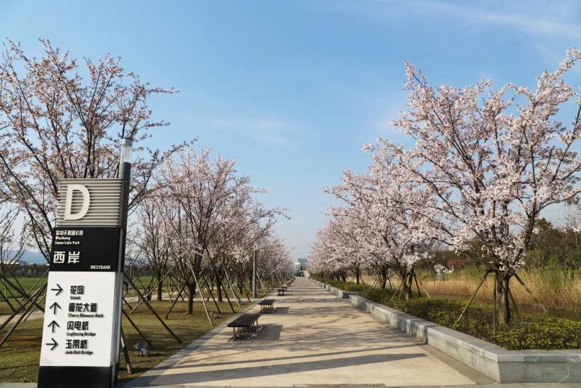 吴中太湖新城最新动态，自然美景探索之旅，寻找内心宁静的胜地