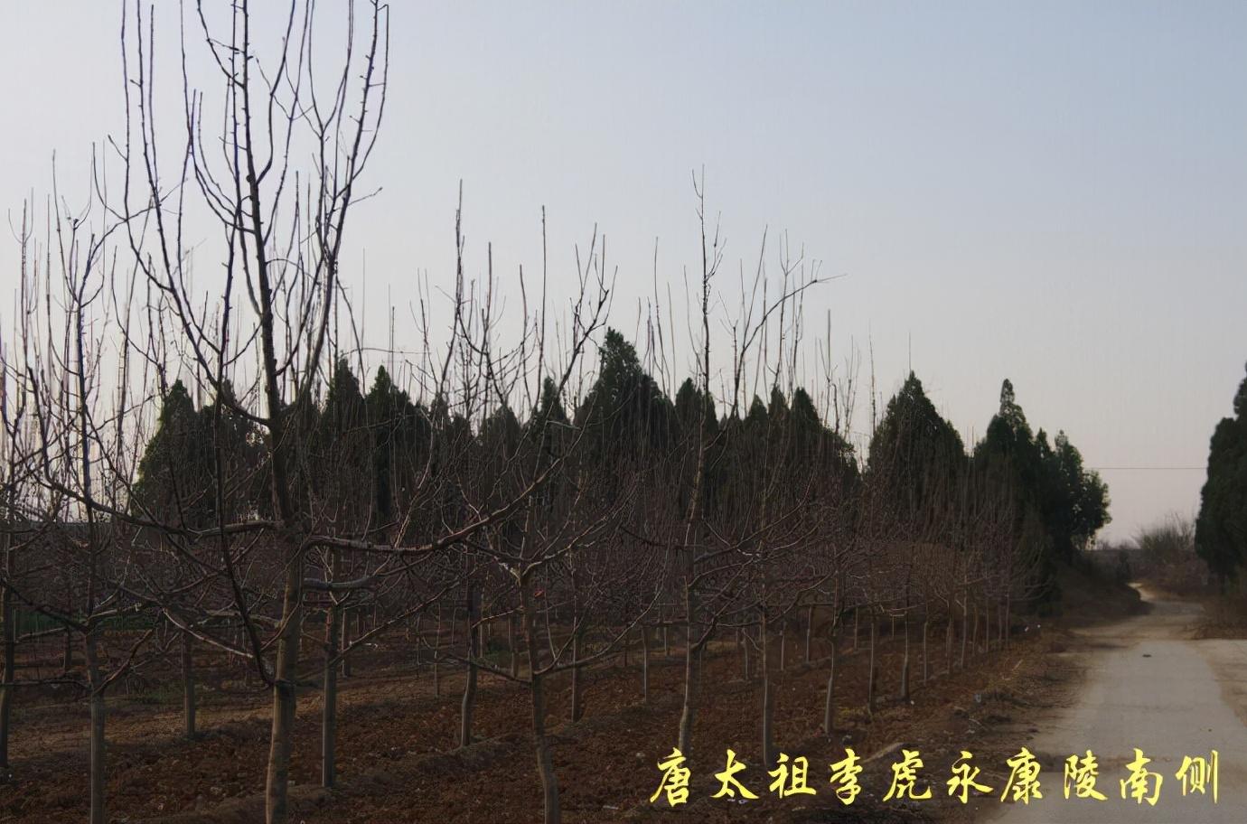 永康市最新道路规划图详解，获取与解读指南