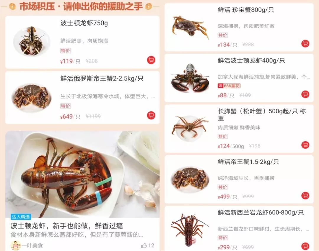 2024澳门特马今晚开奖结果出来了吗图片大全,水产基础医学_FUM73.157运动版