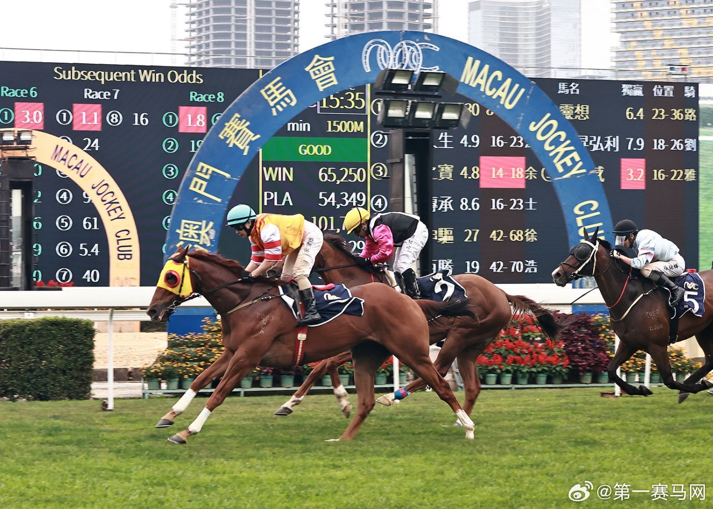 2024今晚开特马开奖,深入挖掘解释说明_RRO73.883多元文化版