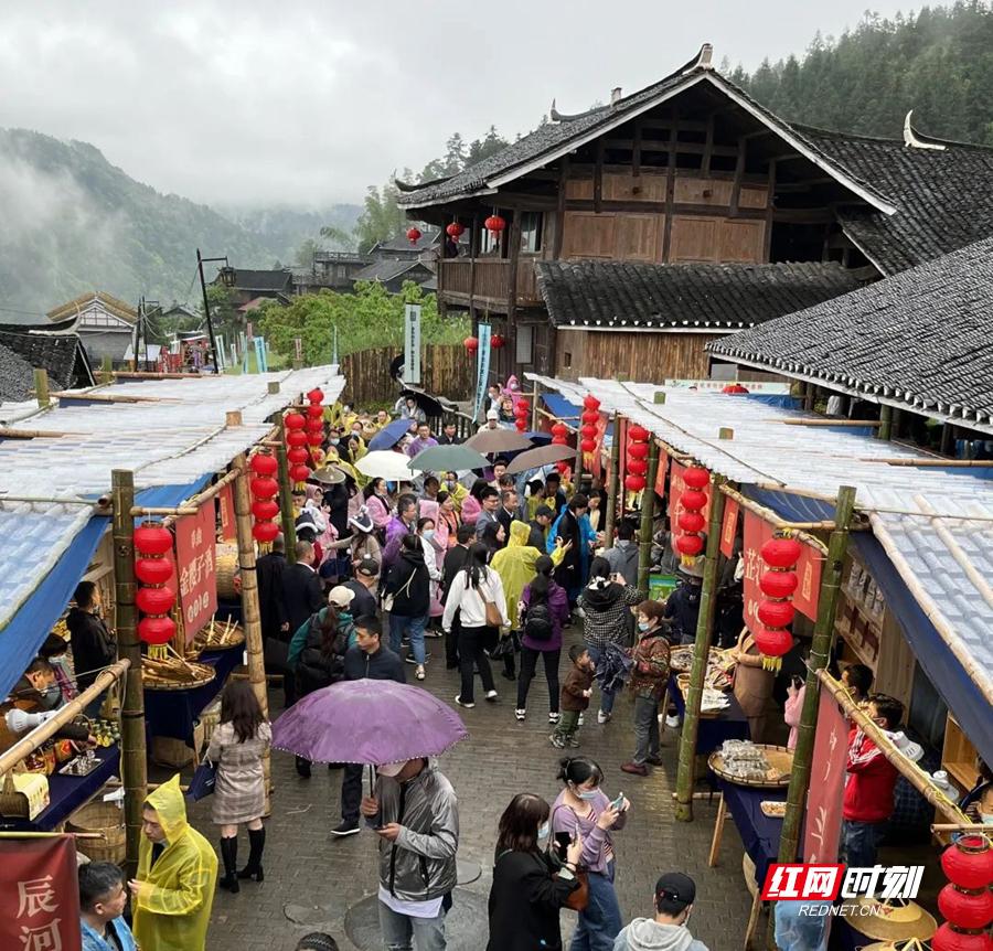 湖南郴州直播现象，我的观点与争议探讨