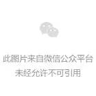 医圣叶皓轩最新章节更新速递