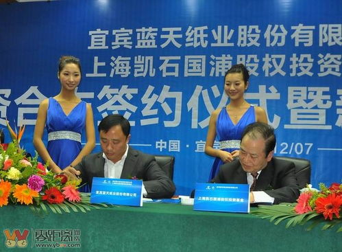 宜宾蓝天纸业最新消息,宜宾蓝天纸业最新消息，全面了解与参与指南