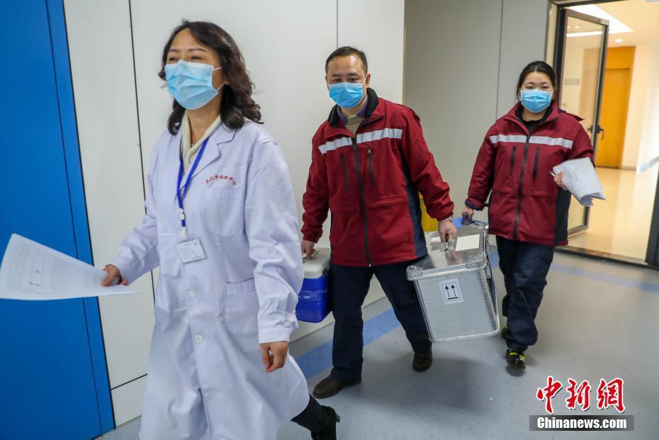 P2实验室建设最新国家标准解析与探讨