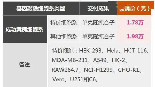 2024新澳门开奖记录,历史学_NLZ82.807迅捷版