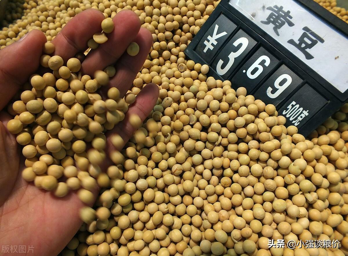 大豆最新价格行情走势详解，如何获取并分析价格信息，洞悉未来趋势