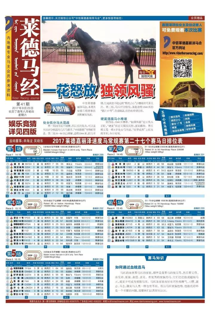 码报最新资料,实时更新解释介绍_NRM82.645生态版