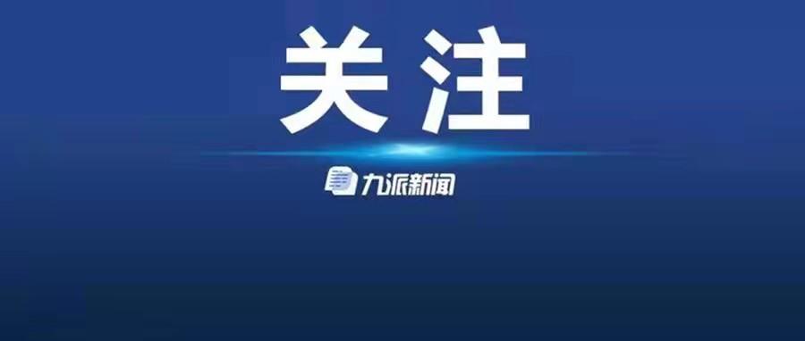 黄方方最新消息更新，最新动态概览