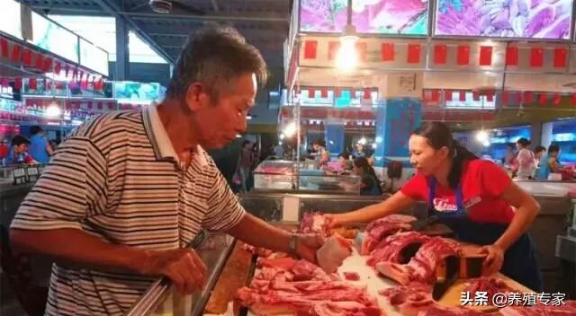 湖南最新猪价动态,湖南最新猪价动态📢🐖📊