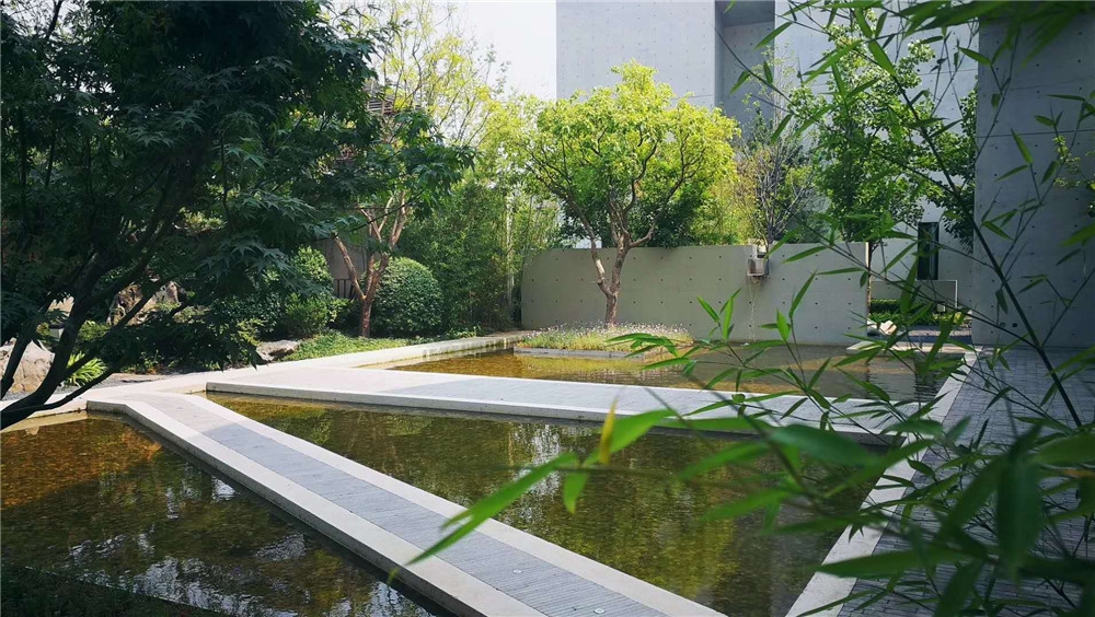 西安西江月最新动态,西安西江月最新动态，科技重塑生活，体验未来魅力