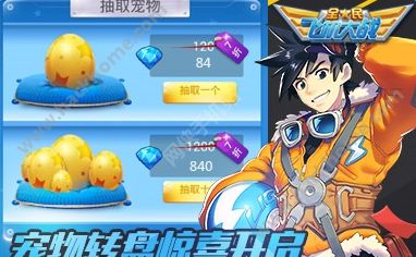 全民飞机大战新宠物深度解析，影响与价值探究