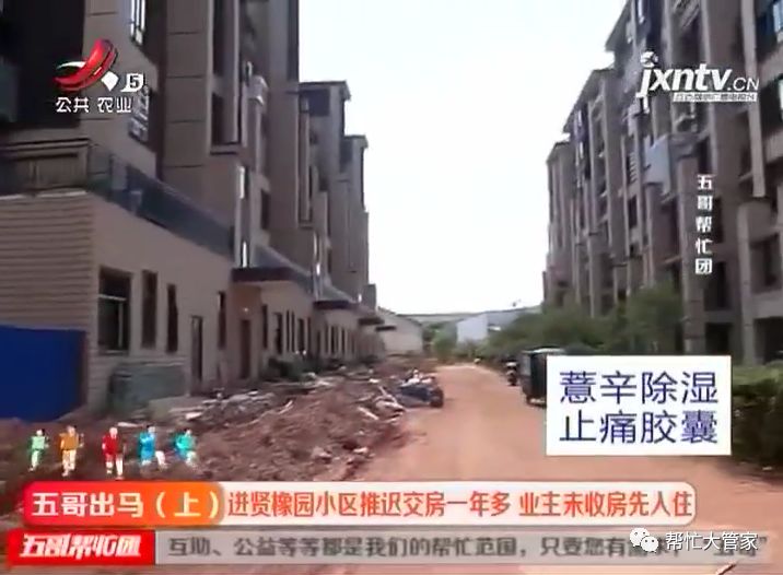进贤橡园小区最新动态速递