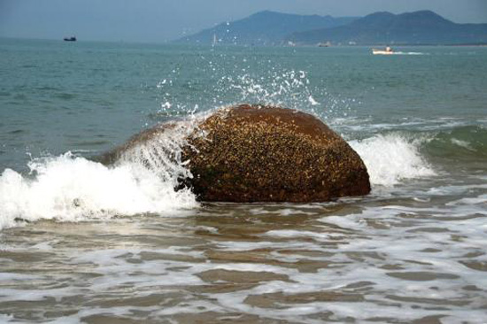 海南椰岛最新动态揭秘，小巷中的美食秘密探索