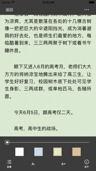 女相师揭秘命运之轮下的智慧闪光最新章节