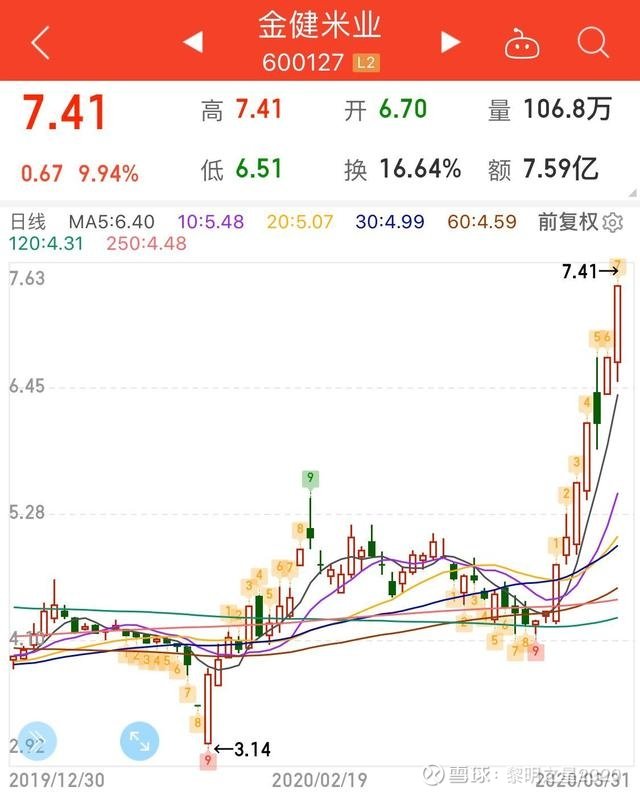 股票金健米业，稻米产业明珠闪耀股市之路