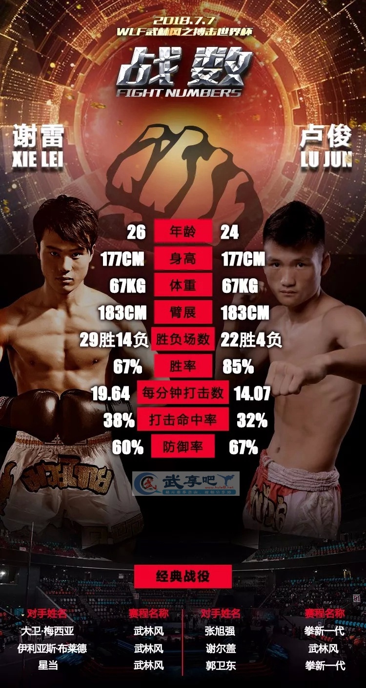 谢雷搏击比赛，友情与陪伴的温馨篇章