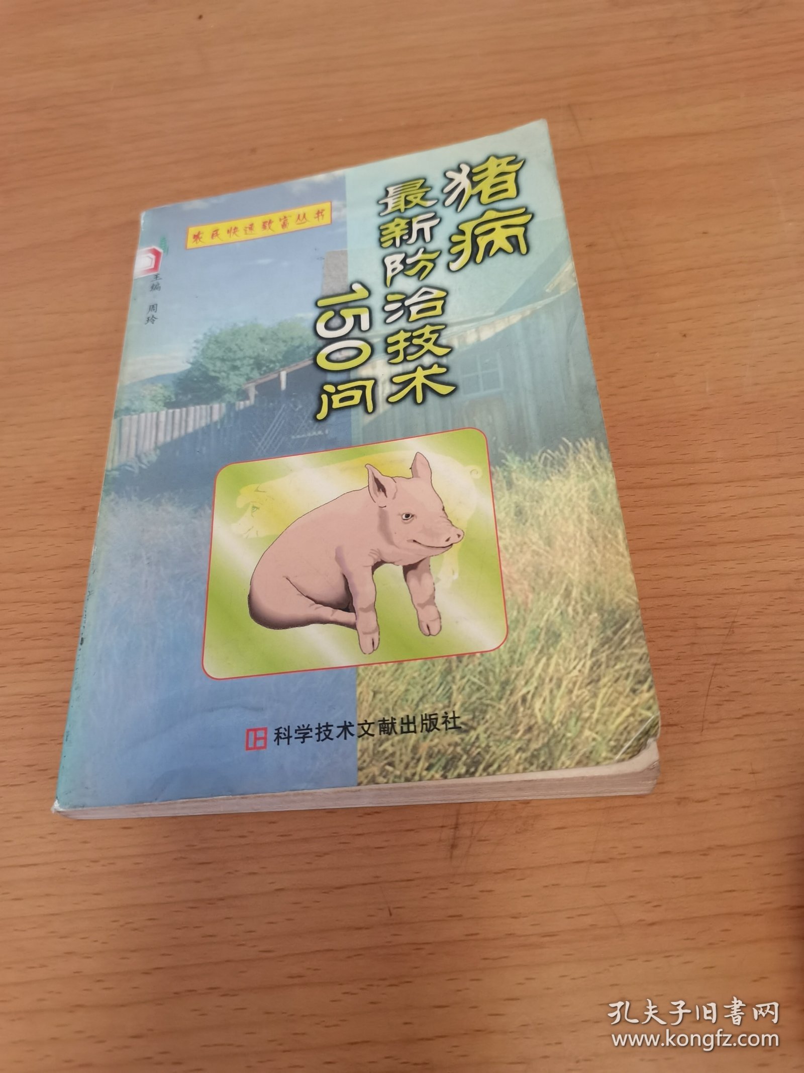 猪病最新动态，励志之旅与自信成就感的源泉