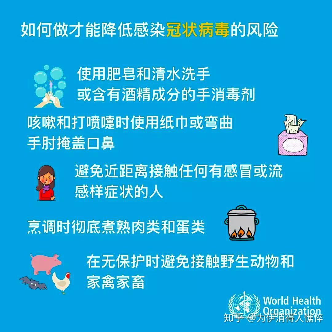 肺病最新通报，探索自然美景之旅，寻求内心平和的旅程